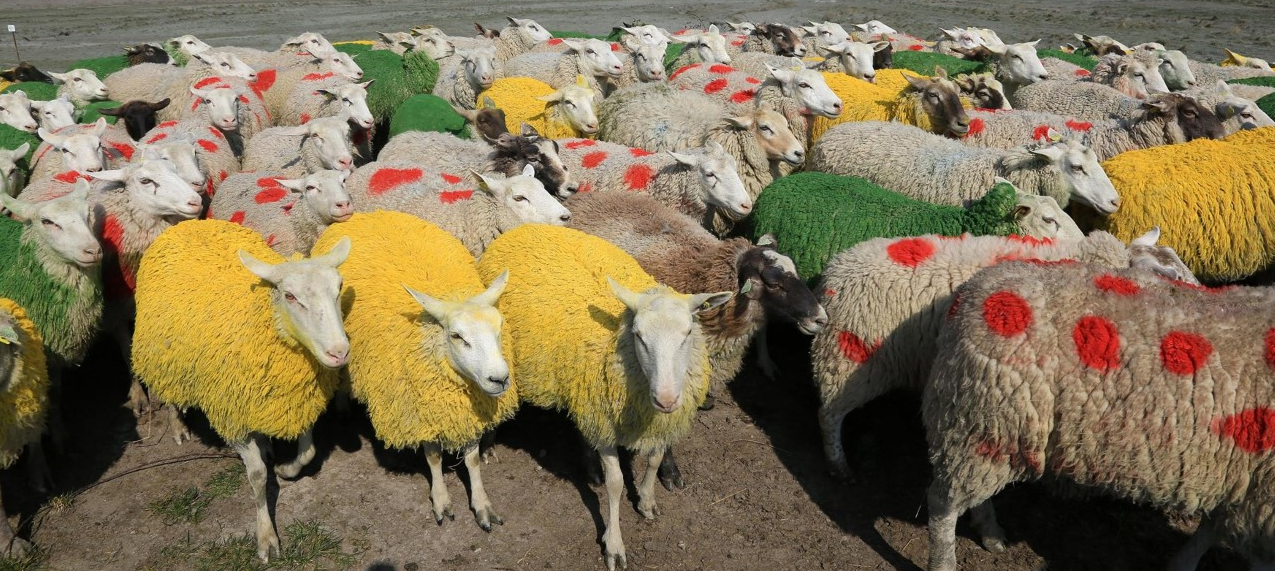 Livestock & Animal Marking Paint